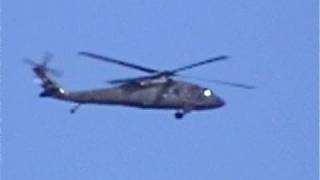 Cattle Mutilation Vulture Coyote Real Nature is spookier than fiction or Halloween