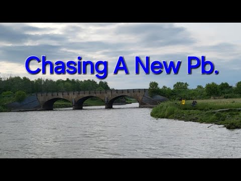 Chasing A New Pb.