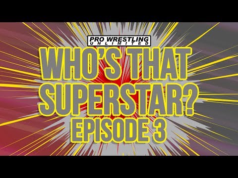 Fight Size Update: WWE Executive Sells More Stock, Ariya Daivari Returning, Hall Of Famer Comments On Mae Young Classic