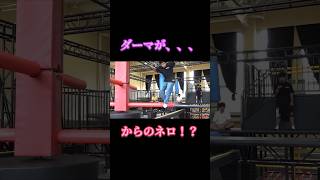 【激似】ダーマがあの人に似てる！？ #フィッシャーズ #フィッシャーズ切り抜き #シルクロード #モトキ #ンダホ #マサイ #ザカオ #ダーマ #運動 #おもしろ #ワンピース #shorts