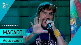 Macaco canta ‘Bailo la pena’