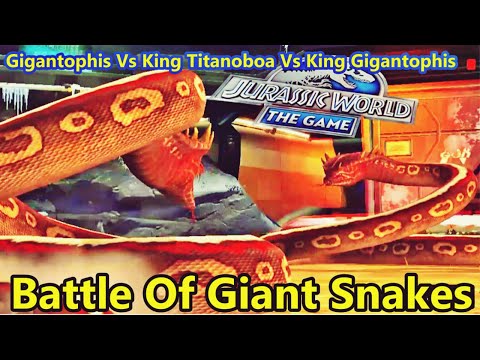 Gigantophis Vs Titanoboa Vs King Cobra  - Jurassic World The Game