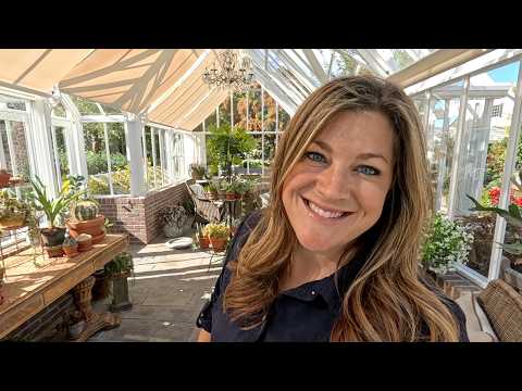 Rearranging in the Hartley & Repotting/Displaying The Most Glorious Cape Primrose! 😍🪴🌸