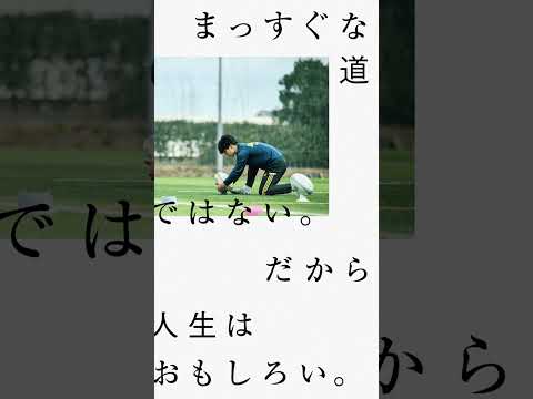 「明学の理由。」ブランドビジュアル #明治学院大学 #大学生 #受験