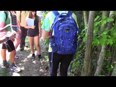 Field Dendrology lab: September 27, 2017