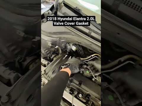 2018 Hyundai Elantra Valve Cover Gasket  #mechanic #hyundai #elantra  #capecoral #fyp #diy