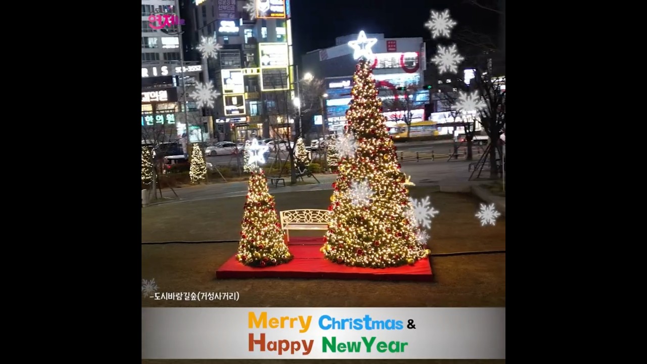 이맘때면 연말 분위기 담당, 크리스마스 트리🎄 썸네일