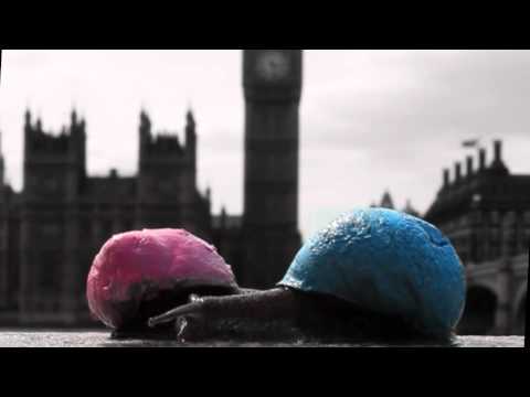 THE REAL TUESDAY WELD  You're Going To Live