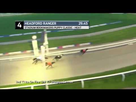 2019 PUPPY CLASSIC - HEAT 5 - T4 HEADFORD RANGER