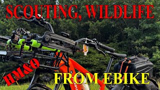 Wildlife, East Texas, from our EBIKE hunting and e bike tips, #ebikelife
