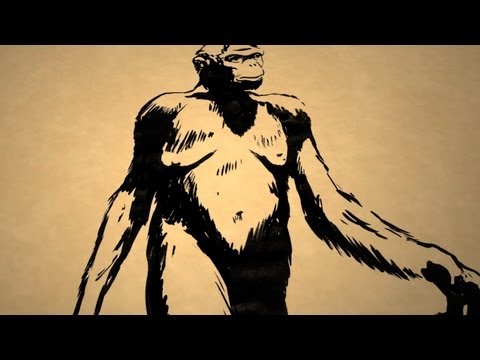 谁是第一个人类祖先（Who Was the First Human Ancestor? - Instant Egghead #31）