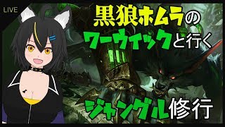 【LOL】強くなりたいLOLジャングル修行#１【Vtuber】