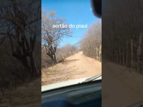 SERTÃO DO PIAUI MUNICÍPIO DE ALEGRETE DO PIAUÍ