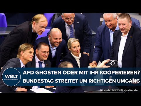 Video Thumbnail: AFD: Ghosten oder Kooperation? Debatte um weiteren Umgang mit teils rechtsextremer Partei