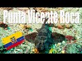 Punta Vicente Roca