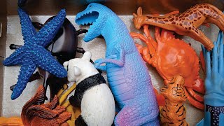 Hunting found tiger cuttlefish giraffe rooster panda crab starfish beetle dinosa