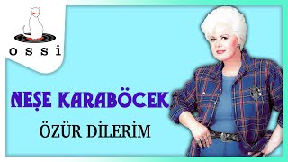 Neşe Karaböcek / Özür Dilerim