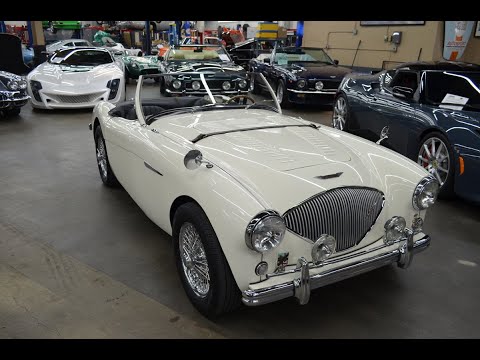 1954 Austin-Healey 100 (CC-1334325) for sale in Huntington Station, New York