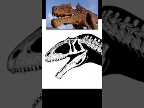 Allosaurus Turns into Giganotosaurus after Mewing #dinosaur #meme