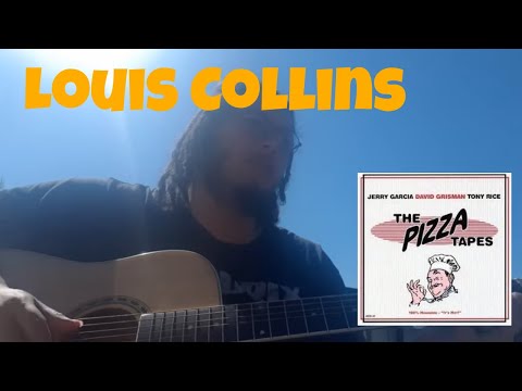 Luis Collins Acoustic Travis Picking Cover - Richard Durazo