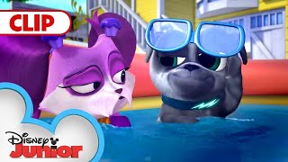 Puppy Pool Party | Playtime with Puppy Dog Pals | @disneyjr gameplay video by tgates9317, 2:56 duration