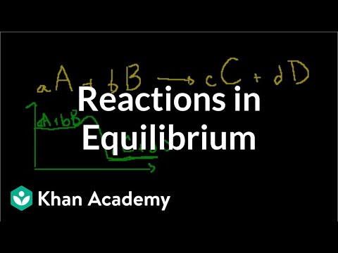 Reactions in Equilibrium