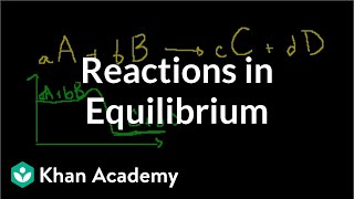 Reactions in Equilibrium