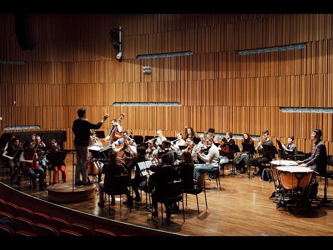 Ludwig van Beethoven, Piano Concerto No. 1