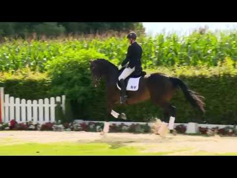 49 Don`t Imitate  Stute v. Depeche Mode - Fidermark