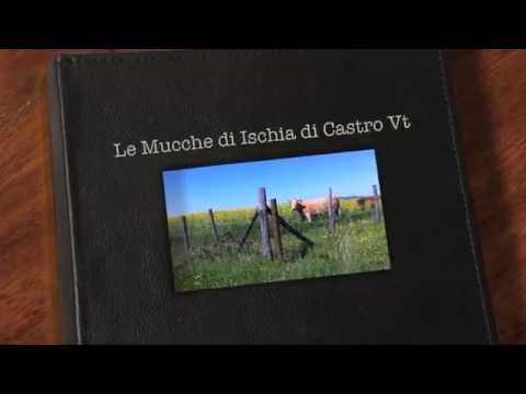 Pascoli a Ischia di Castro VT