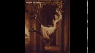 Porcupine Tree - Bornlivedie