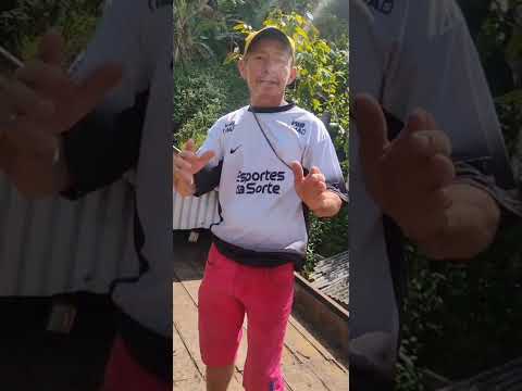 Vende-se essa propriedade Ubaitaba Bahia telefone 1194666 marcando documento  6713