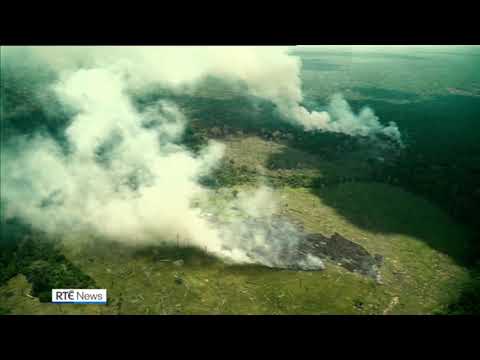 COP26: World leaders promise to stop deforestation this decade