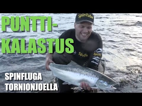 Spinfluga - Lohenkalastus - Punttikalastus - Matkakoski - Tornionjoki - Eumer Fishing