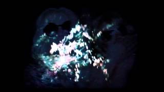 The Casket Girls - I've got a Secret