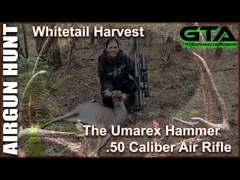 GTA AIRGUN HUNT – AA’s Umarex Hammer Harvests its First White Tail Deer