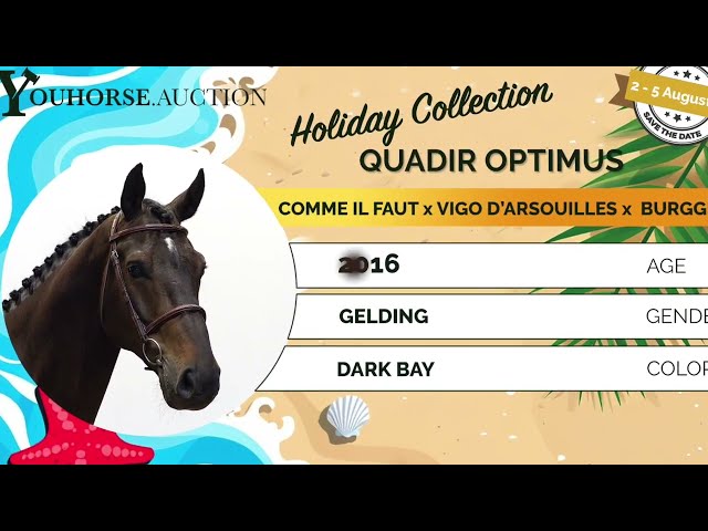 Quadir Optimus showvideo