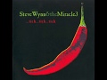 Steve Wynn & The Miracle -The Deep End