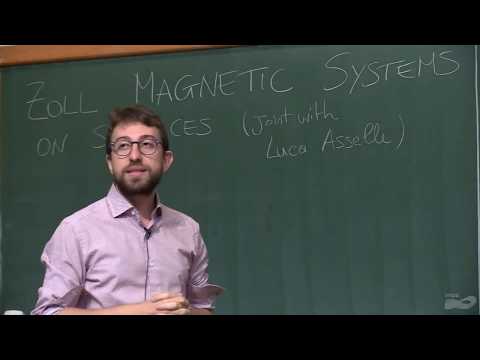 VIII Workshop on Conservative Dynamics and Symplectic Geometry - Zoll magnetic systems on surfaces