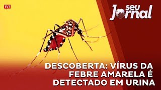Miniatura do vídeo