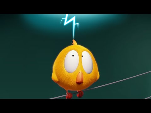 Capa de Onde está Chicky? 2023 | RELÂMPAGOS | Desenhos Animados Infantil | Novos episódios