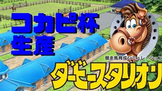 コカピ杯生産