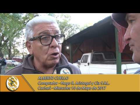 10-05-17 Nota Alberto Cuello - Hugo R. Aristegui y Cia S.R.L. - Cacharì.