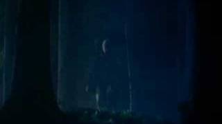 Jason Castro Memory - Eragon