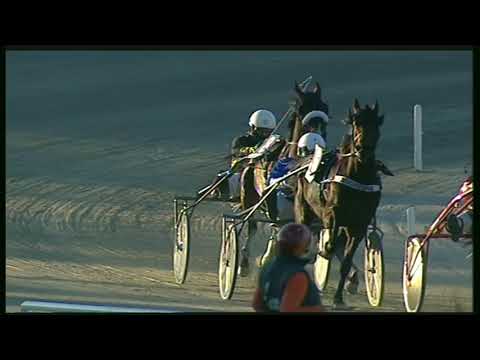 Trotto 22/11/2020 - 5ª corsa