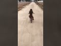 Monkey Cycle Chala Raha Akkujangir Monkey Cycle Funny Shorts Viral Mahimiss