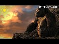 Beautiful Ann Kong Moment King Kong 4K HDR
