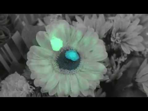 Drop