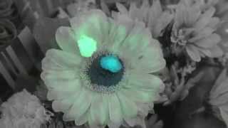 Drop Music Video