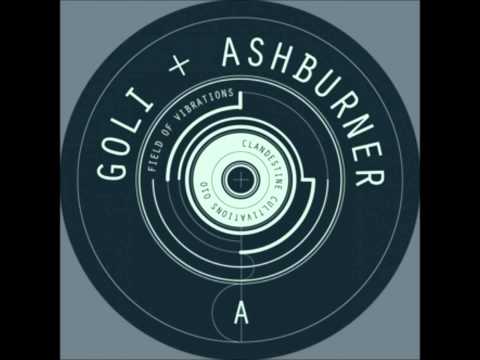Goli & Ashburner - Field Of Vibrations